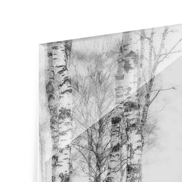 Obrazy krajobraz Mistyczny las brzozowy czarno-biały