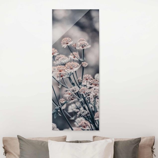 Obrazy na szkle dmuchawce Mistyczna krzewinka kwitnąca