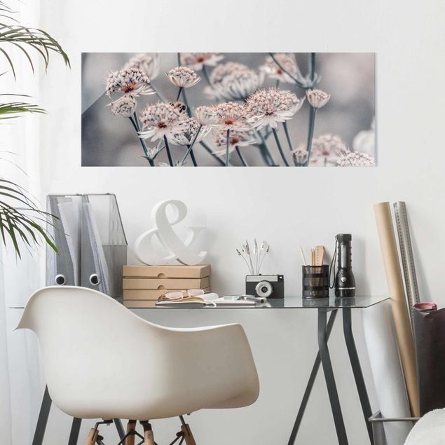 Obrazy na szkle panorama Mistyczna krzewinka kwitnąca