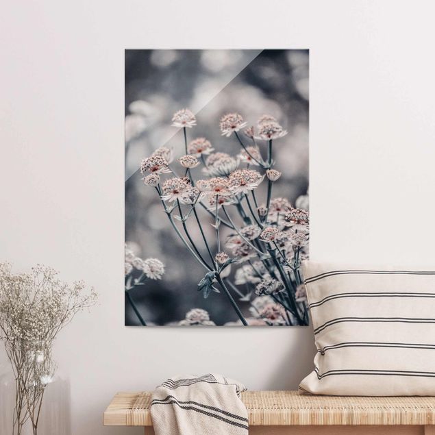 Obrazy na szkle portret Mistyczna krzewinka kwitnąca