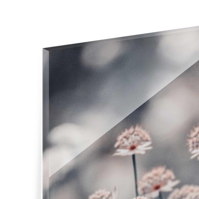 Obrazy z motywem kwiatowym Mistyczna krzewinka kwitnąca
