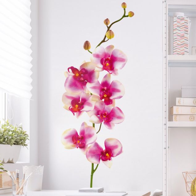 Naklejki na ścianę orchidea Nr 176 Orchidea różowa I