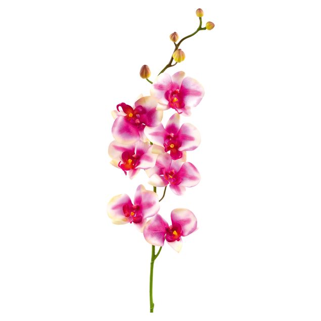 Dekoracja do kuchni Nr 176 Orchidea różowa I