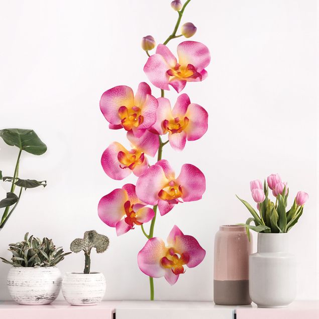 Naklejki na ścianę orchidea Nr 177 Orchidea różowa II