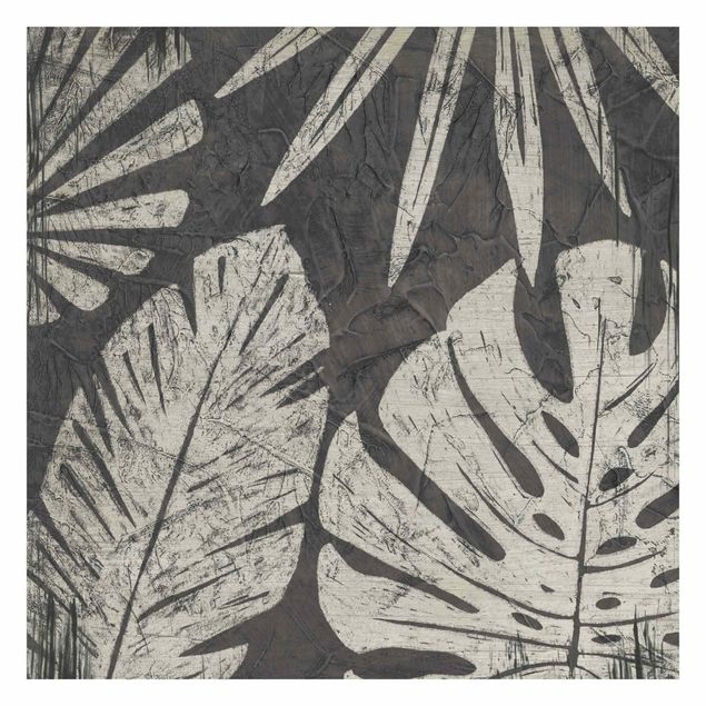 Fototapeta - Liście palmy na tle ciemnej szarości