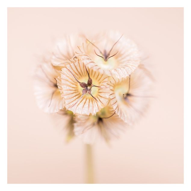 Fototapeta - Pastelowy bukiet kwiatów II