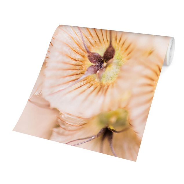 Fototapety Pastelowy bukiet kwiatów