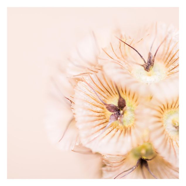 Fototapeta - Pastelowy bukiet kwiatów
