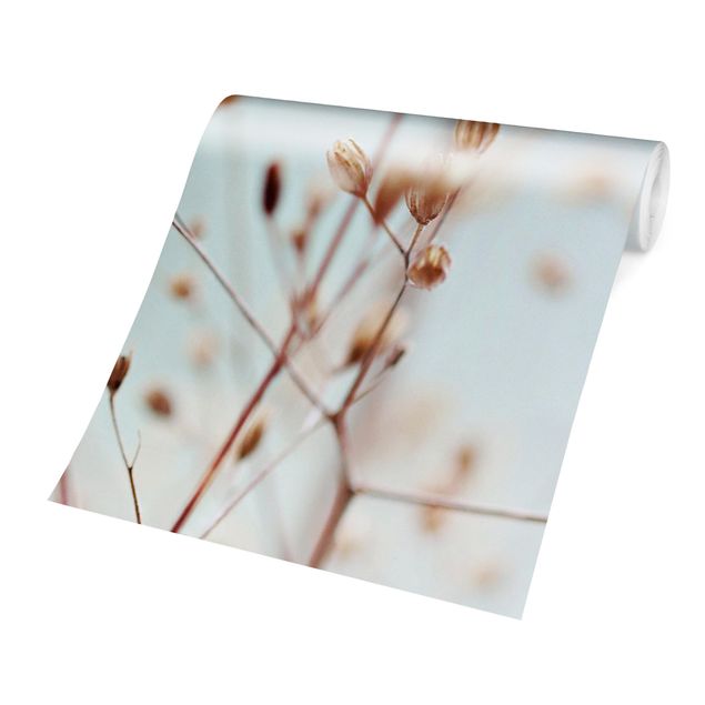 Fototapety Pąki pastelowe na gałązce polnych kwiatów