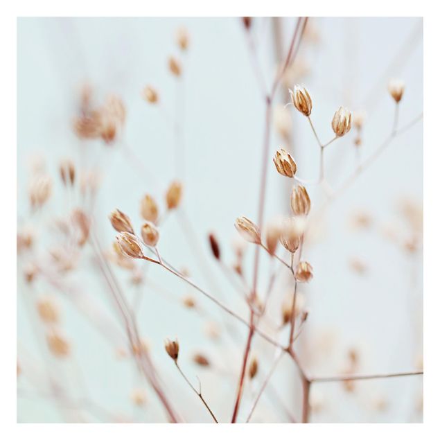 Fototapeta - Pąki pastelowe na gałązce polnych kwiatów