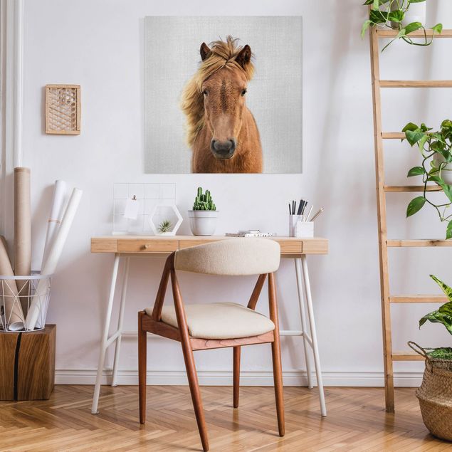 Obrazy nowoczesny Horse Pauline