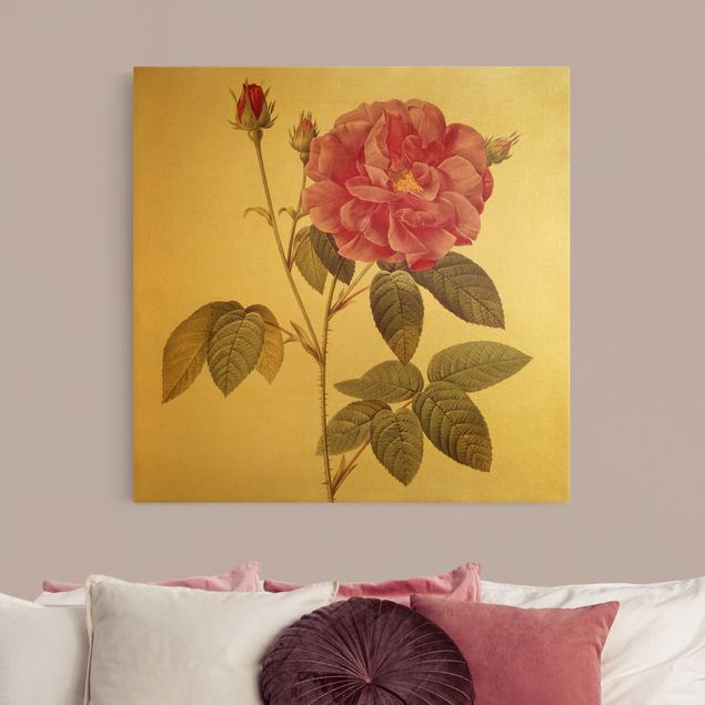 Obrazy na płótnie róże Pierre Joseph Redouté - Róża aptekarska