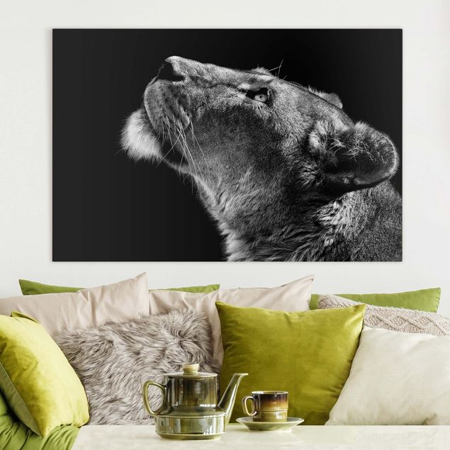 Obrazy do salonu Portret lwicy