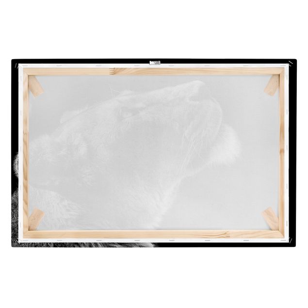 Obraz na płótnie czarno biały Portret lwicy