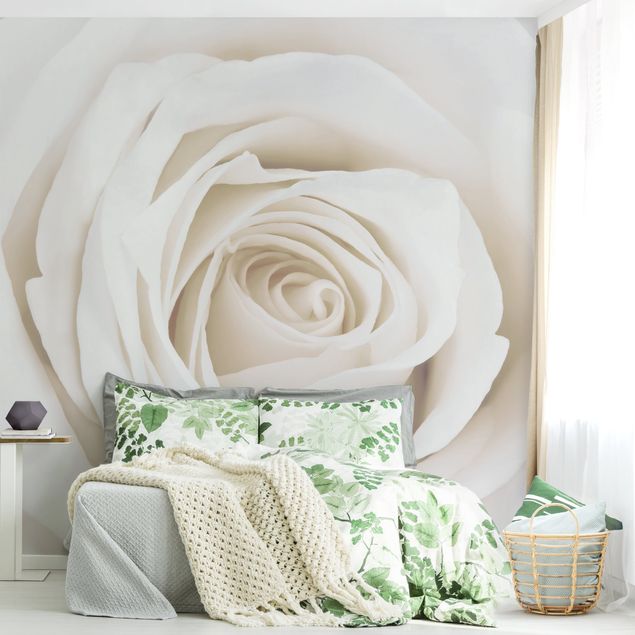Fototapety kwiaty Piękna biała róża