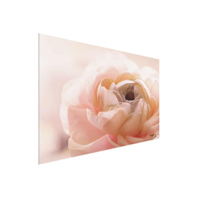 Obrazy do salonu Różowy kwiat w centrum uwagi