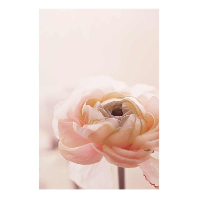 Obrazy nowoczesne Różowy kwiat w centrum uwagi