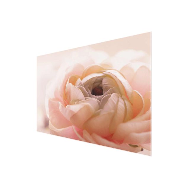 Obraz różowy Różowy kwiat w centrum uwagi