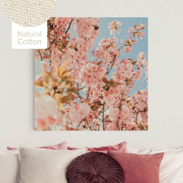 Obrazy do salonu nowoczesne Marzenie o różowym kwiatostanie wiśni