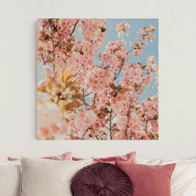 Nowoczesne obrazy Marzenie o różowym kwiatostanie wiśni