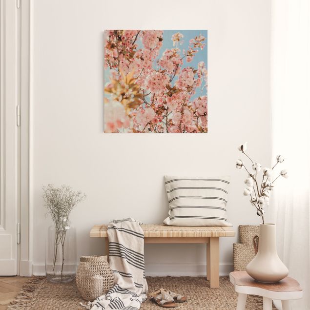 Obraz różowy Marzenie o różowym kwiatostanie wiśni