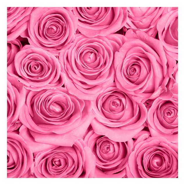 Fototapeta - Różowe róże