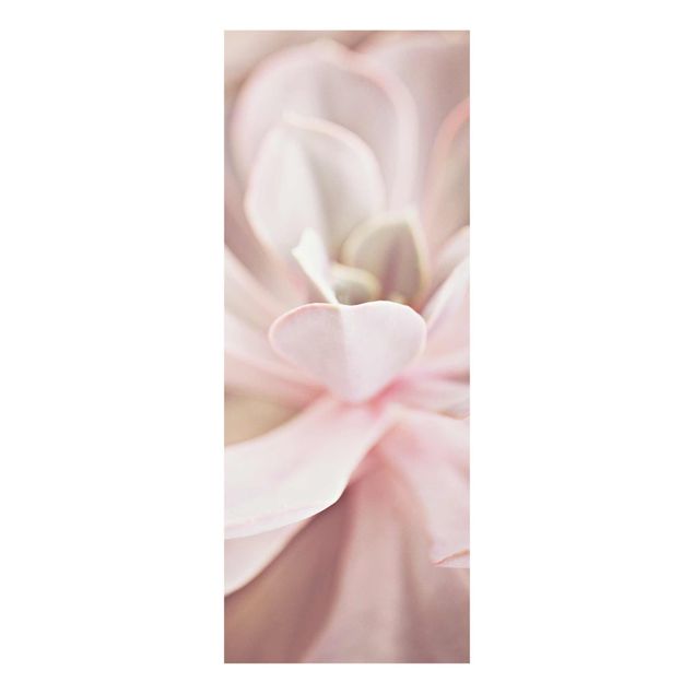 Różowy obraz Rosane sukulent kwiatowy