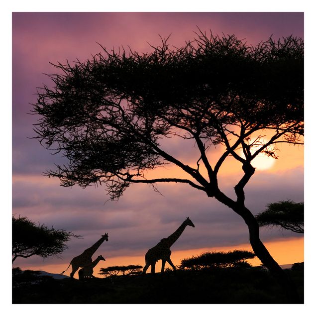 Tapeta ścienna Safari w Afryce