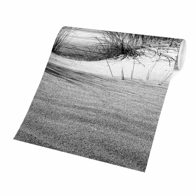 Fototapety Sand Dune Czarno-biały