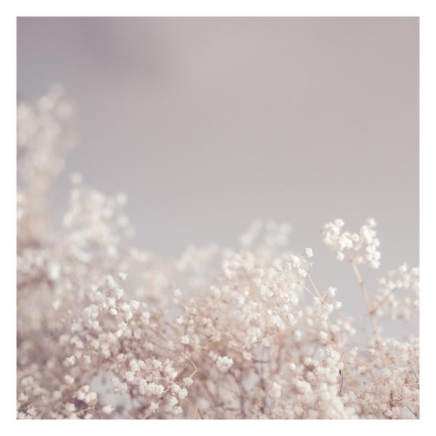 Fototapeta - Sen łagodnego kwiatu