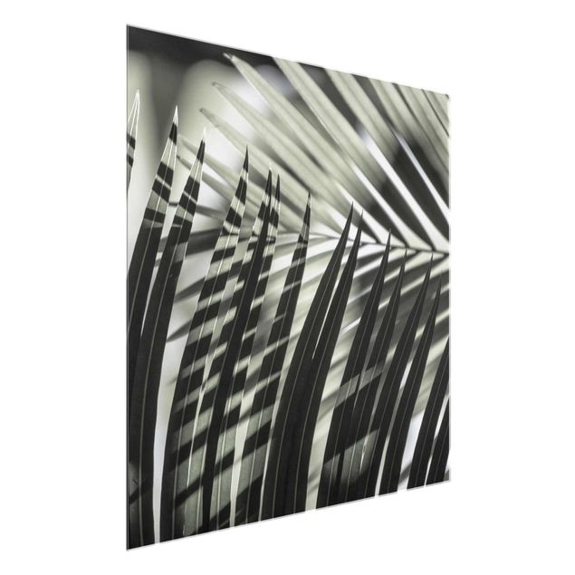 Obrazy do salonu nowoczesne Gra cieni na liściu palmy