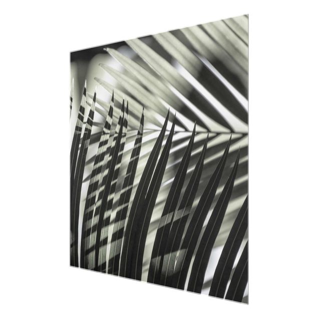 Obrazy krajobraz Gra cieni na liściu palmy