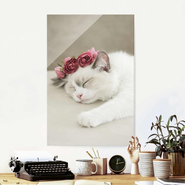 Obrazy na szkle róże Śpiący kot z różami