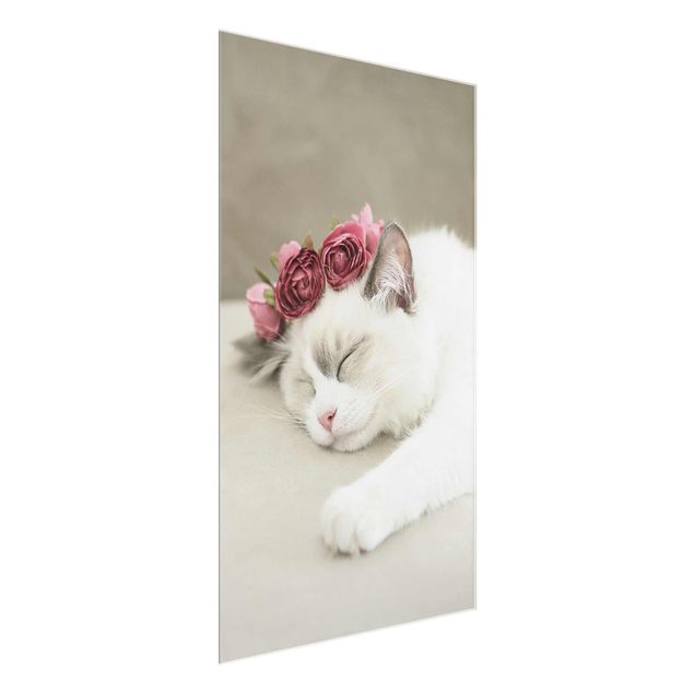 Koty obrazy Śpiący kot z różami