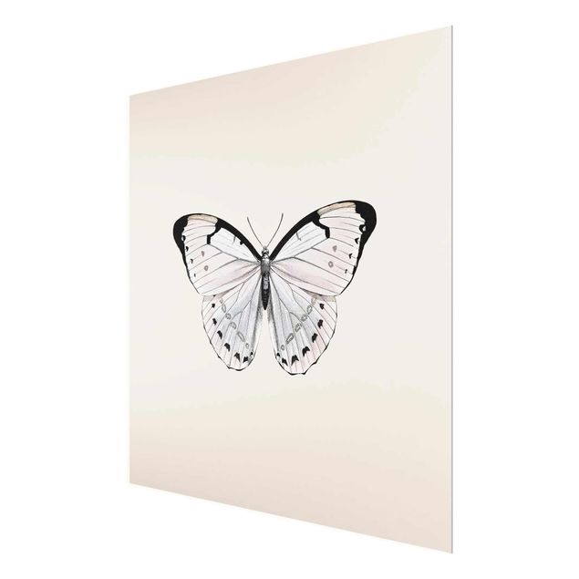 Obrazy nowoczesne Motyl na beżu