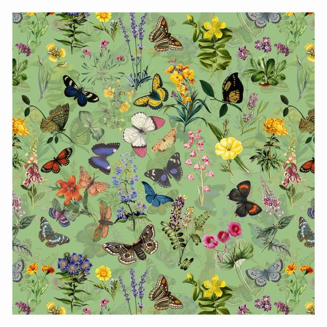 Tapeta - Motylki z kwiatami na zielonym tle