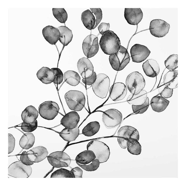 Czarno białe obrazy czarno-biały Akwarela gałązka eukaliptusa