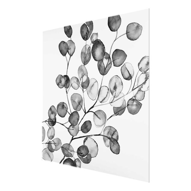 Obrazy kwiatowe czarno-biały Akwarela gałązka eukaliptusa