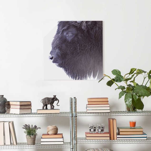 Obrazy na szkle zwierzęta Portret czarnego bizona