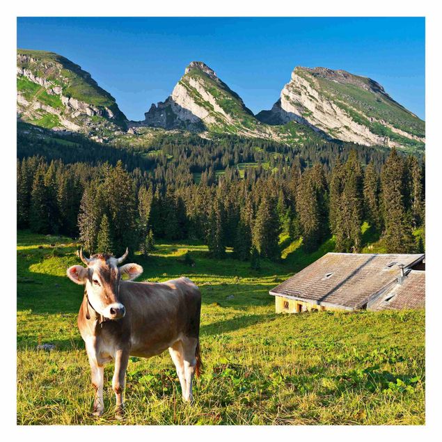 Fototapety Szwajcarska łąka alpejska z krową