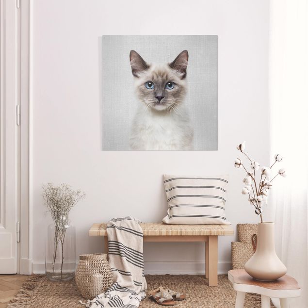 Obrazy do salonu Siamese Cat Sibylle