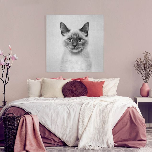 Obrazy nowoczesne Siamese Cat Sibylle Black And White