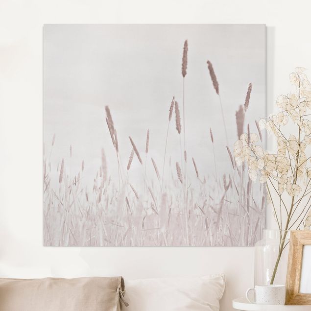 Obrazy do salonu nowoczesne Letnia trawa trzcinnikowa