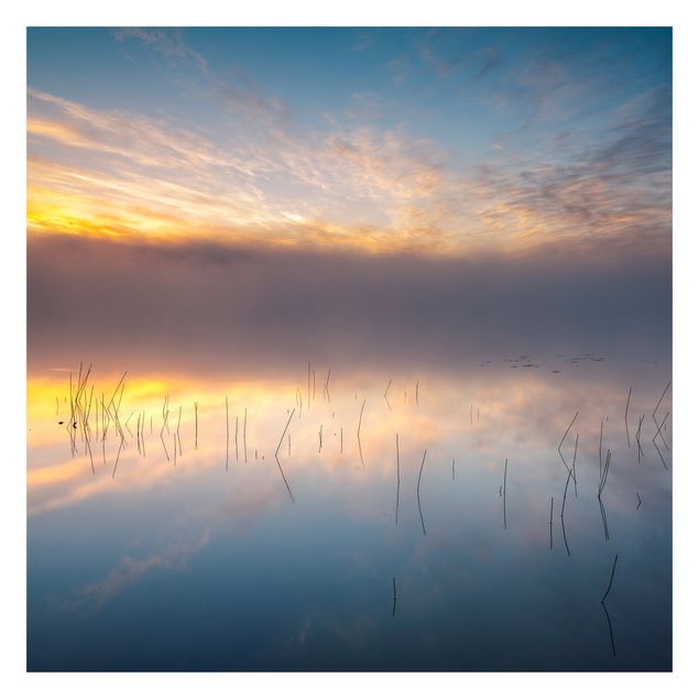Tapety Wschód słońca Jezioro Szwedzkie