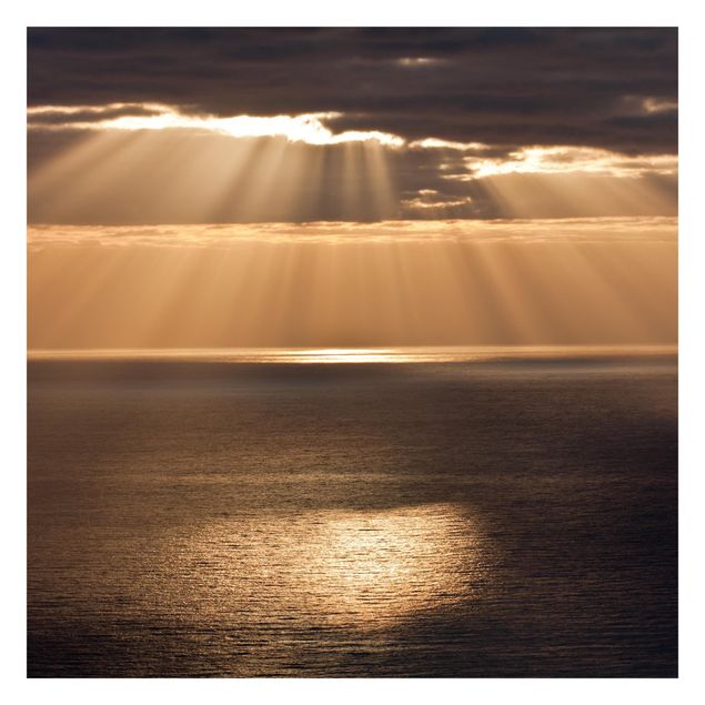 Fototapeta - Promienie słońca nad morzem