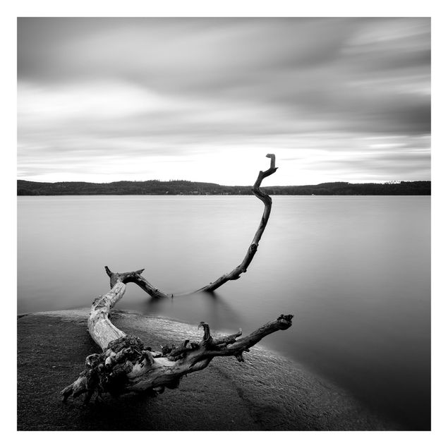 Fototapeta - Zachód słońca nad jeziorem czarno-biały