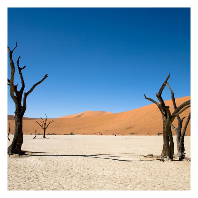Fototapeta - Sossusvlei Namibia