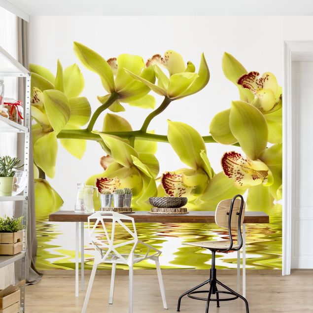 Dekoracja do kuchni Wspaniałe wody orchidei
