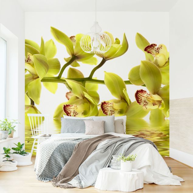 Tapeta w kwiaty Wspaniałe wody orchidei