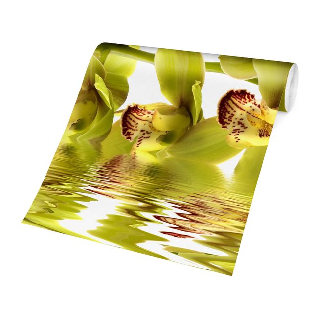Fototapety Wspaniałe wody orchidei
